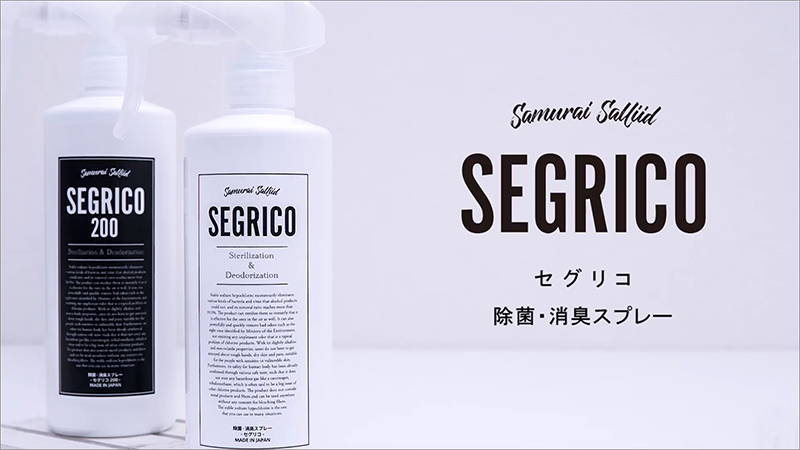 エイチ・オー・ピー：SEGRICO